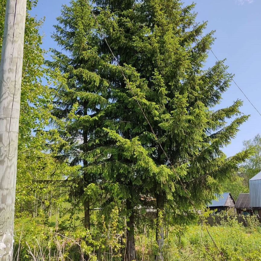 Продажа земли, 6 соток