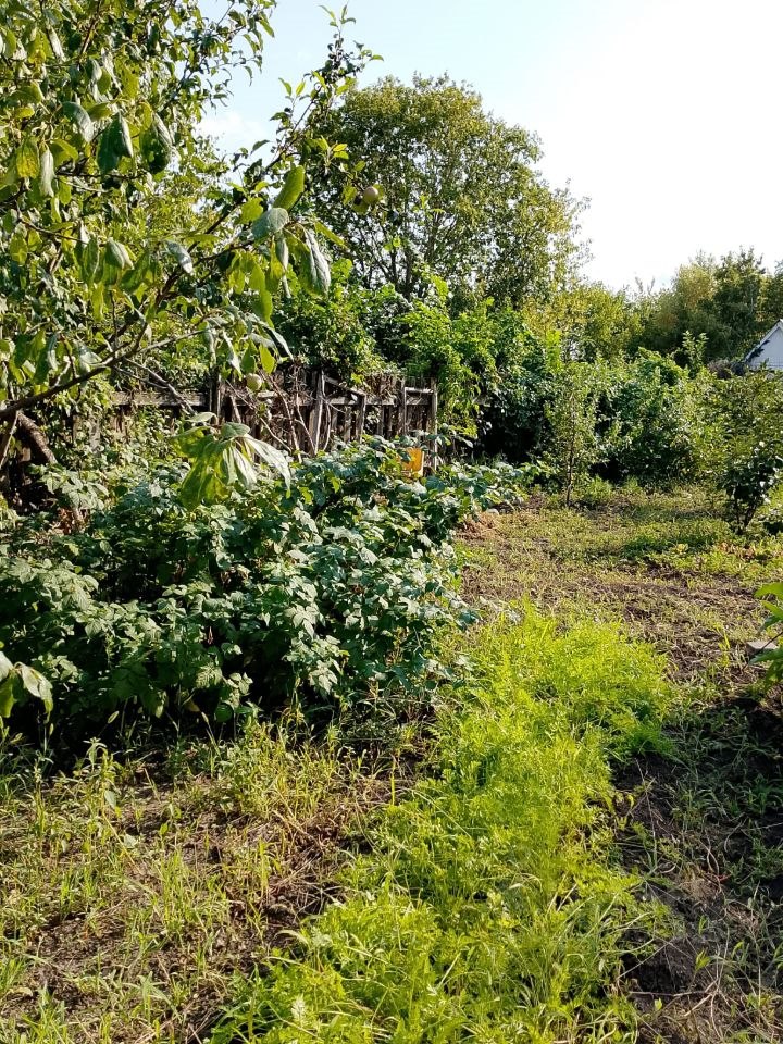 Дом, 16 м², 6.5 соток