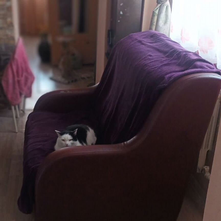 Дом, 45 м², 6 соток