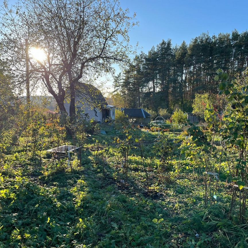 Коттедж, 20 м², 11.8 соток