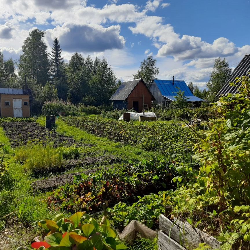 Коттедж, 10 м², 6 соток