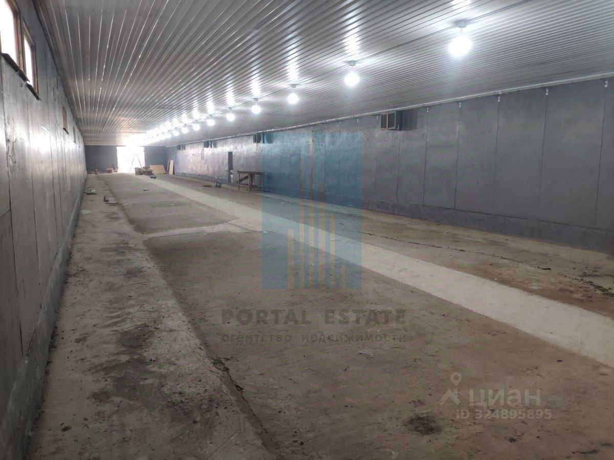 ПСН (помещение свободного назначения), 500 м2, 1/1 этаж