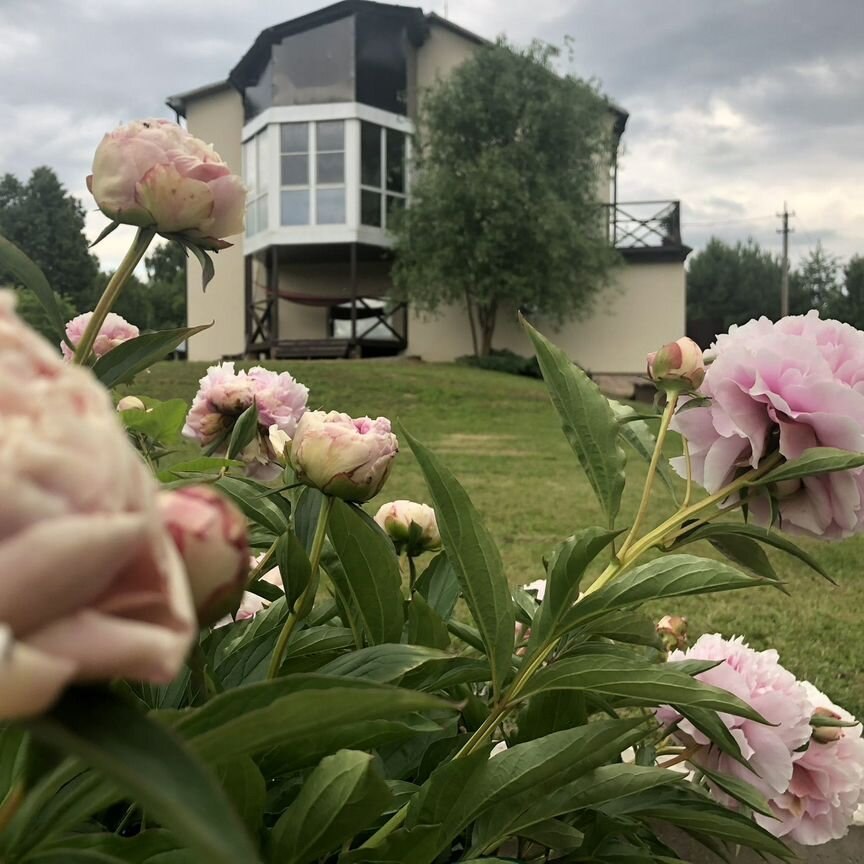  дом, 175.2 м², 100 соток