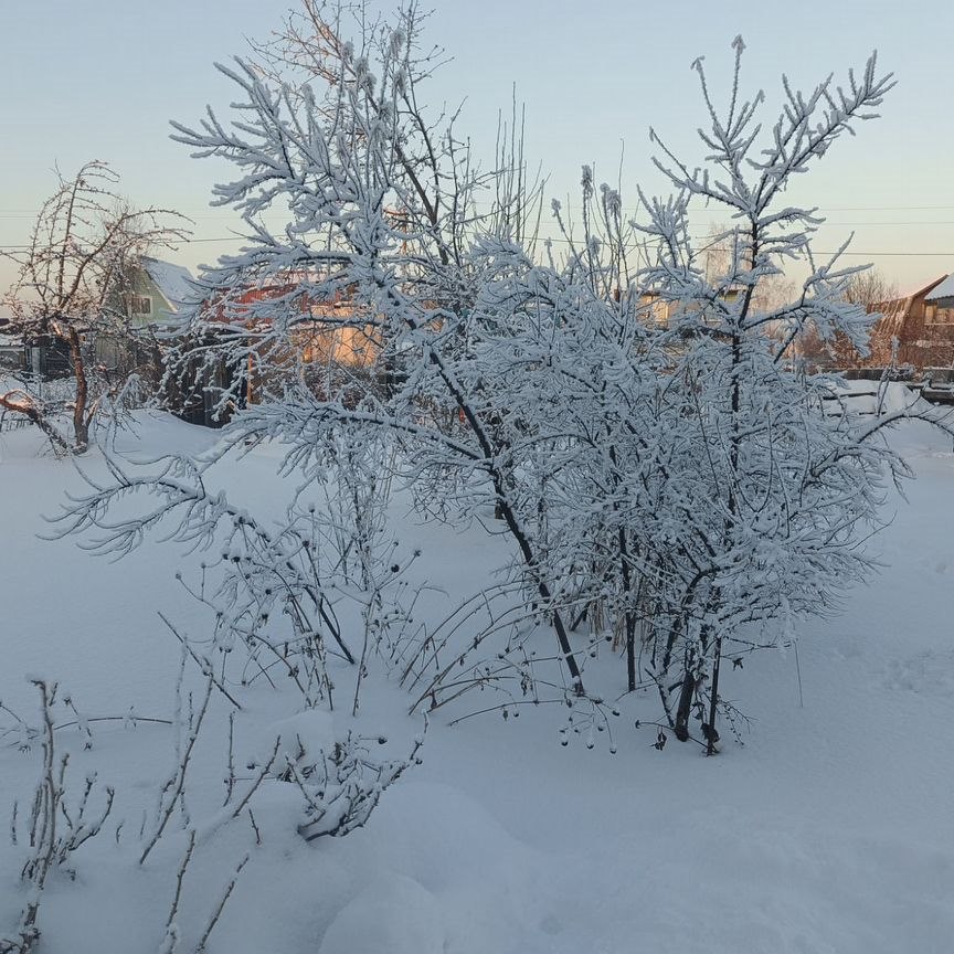 Коттедж, 30 м², 5.2 соток