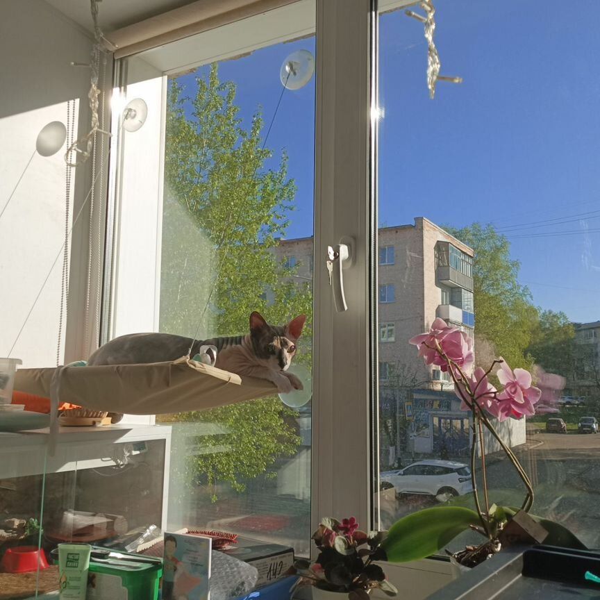 2-комн., 45 м², 2/5 этаж