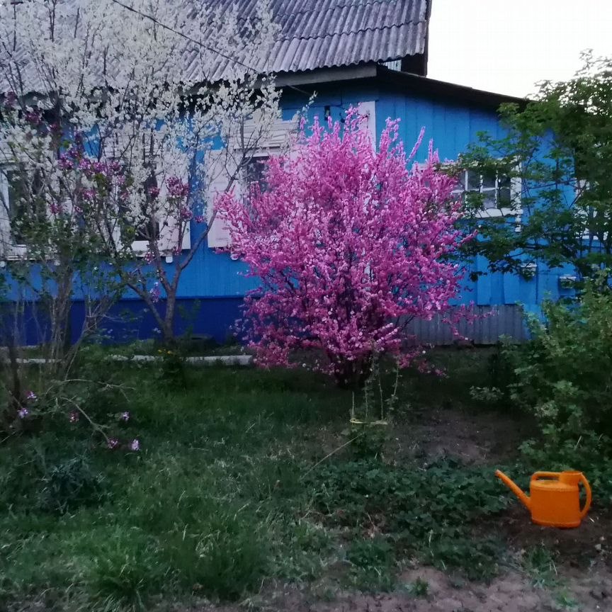 Дом, 36 м², 12 соток