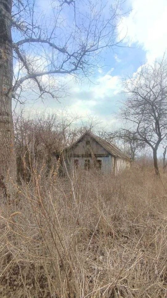 Дом, 33.8 м², 50 соток