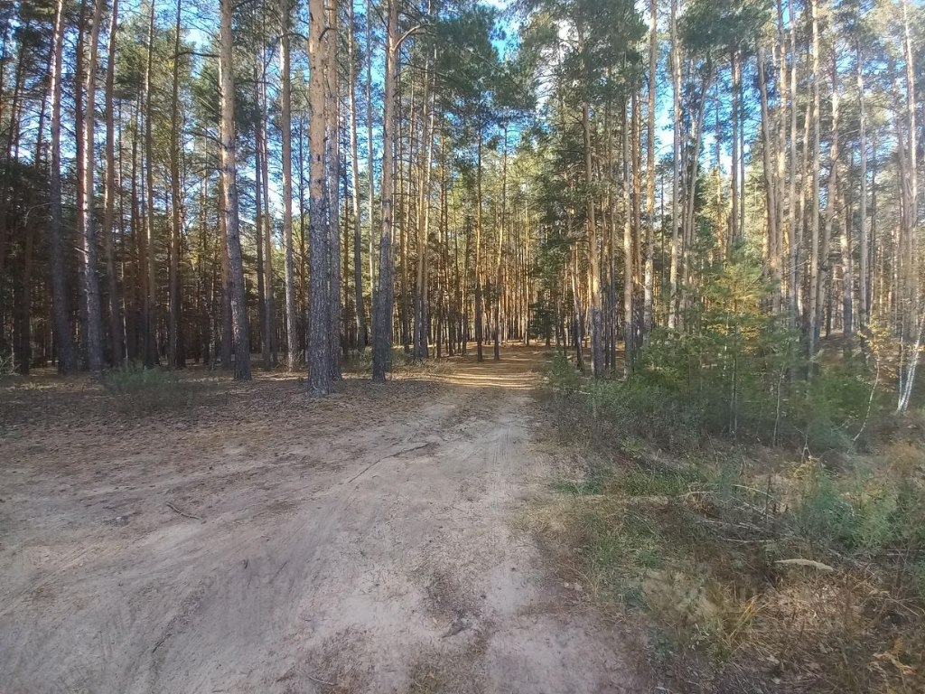 Дом, 20 м², 6 соток