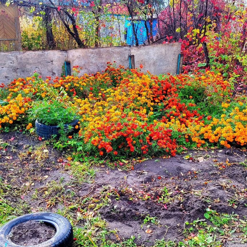 Купить участок земли, 10 соток