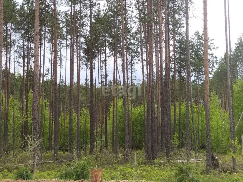 Продается земля, 10 соток