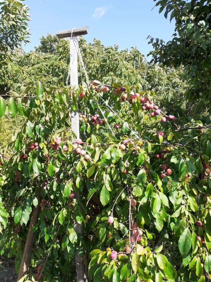 Дом, 52.7 м², 9 соток