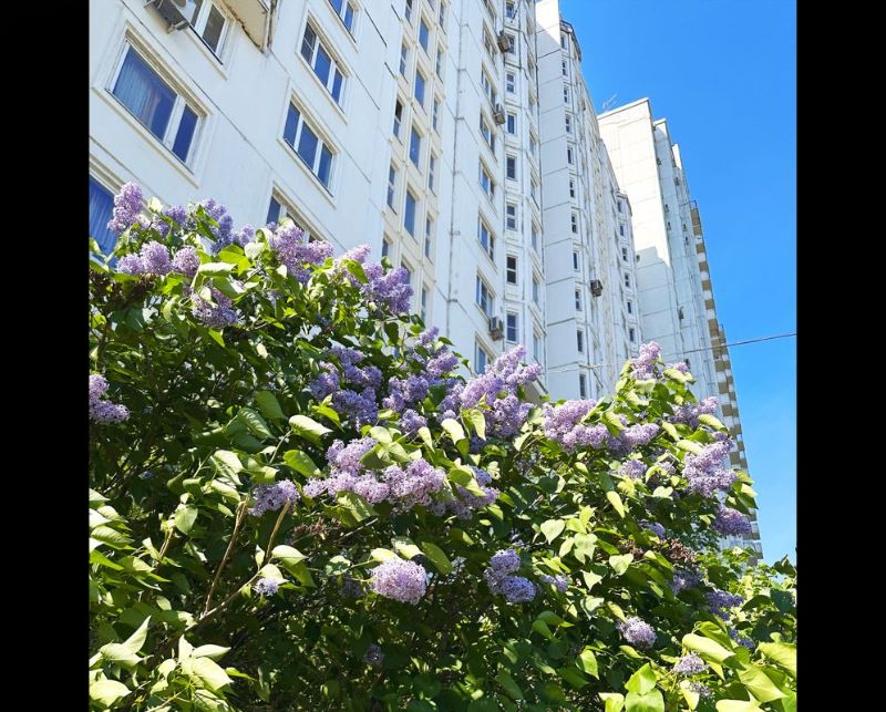 3-комн., 75.4 м², 13/17 этаж