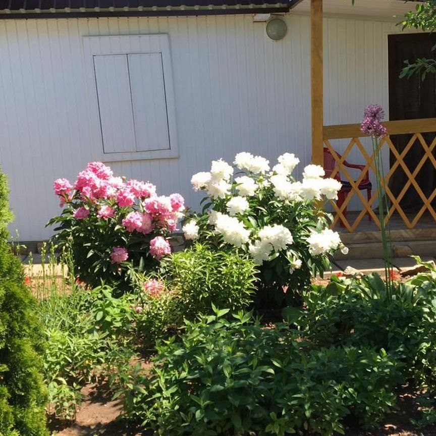 Коттедж, 25 м², 6 соток