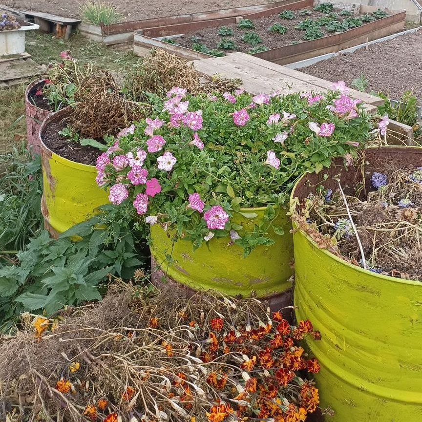  коттедж, 10 м², 11 соток