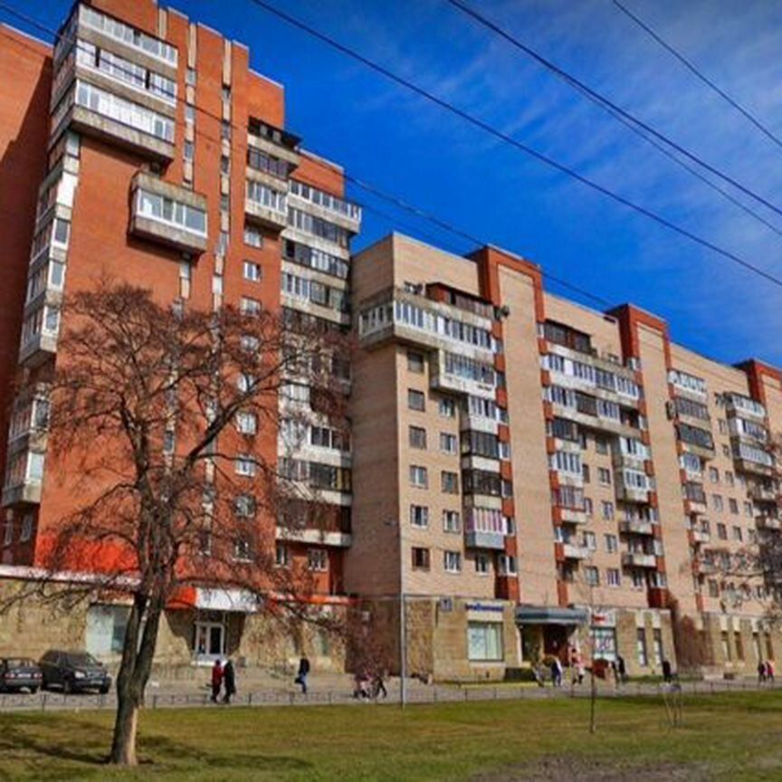 Торговое помещение, 295 м²