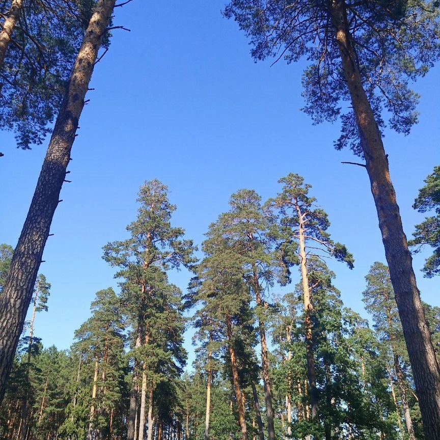 Дом, 121 м², 14 соток