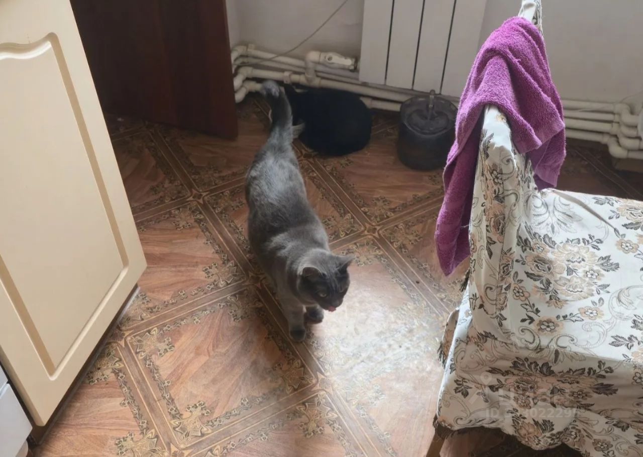 Комната в 3-комн. квартире, 15 м2, 3/4 этаж