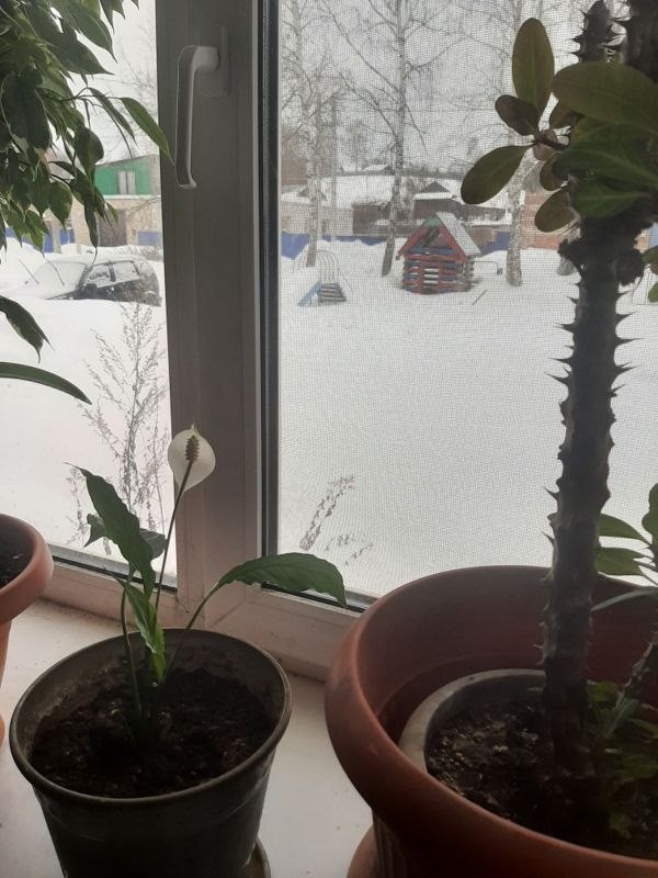 3-комн., 44.3 м², 1/3 этаж