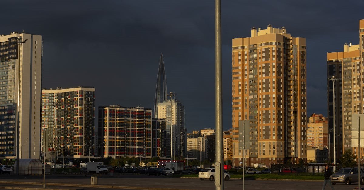 Фото: Pexels, @Plato Terentev