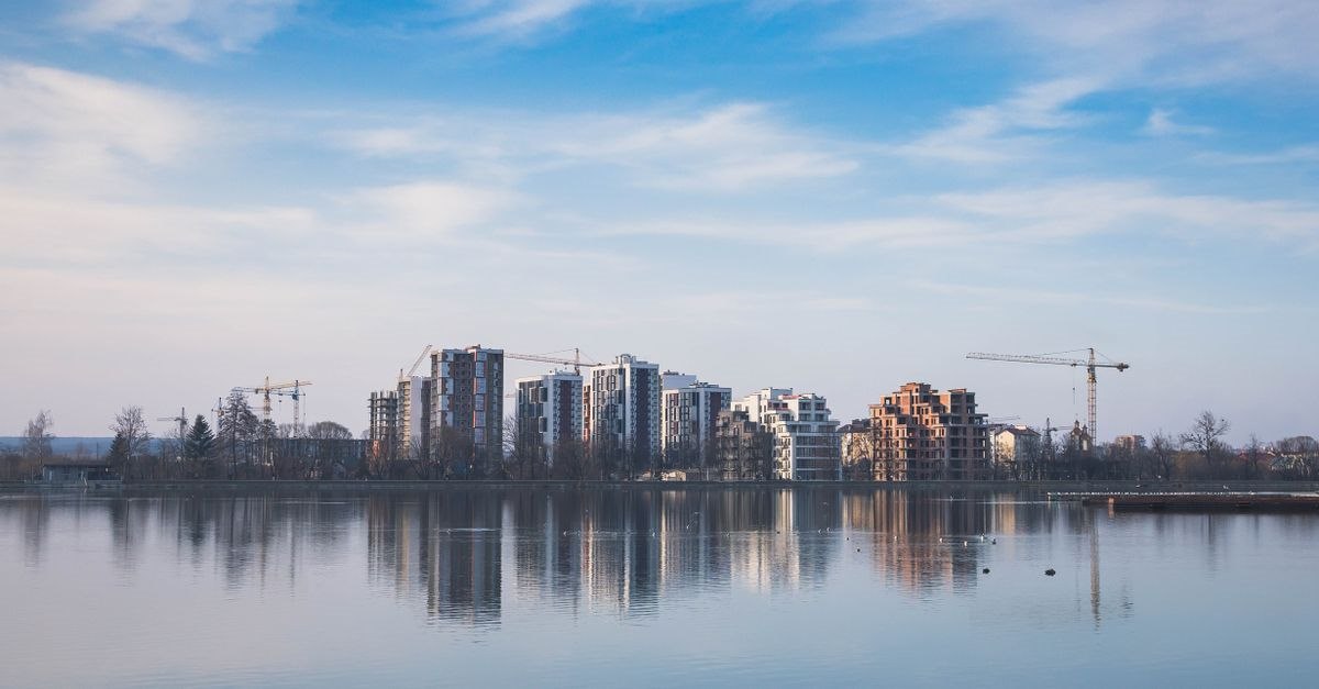Фото: Pexels, @Taras Chuiko