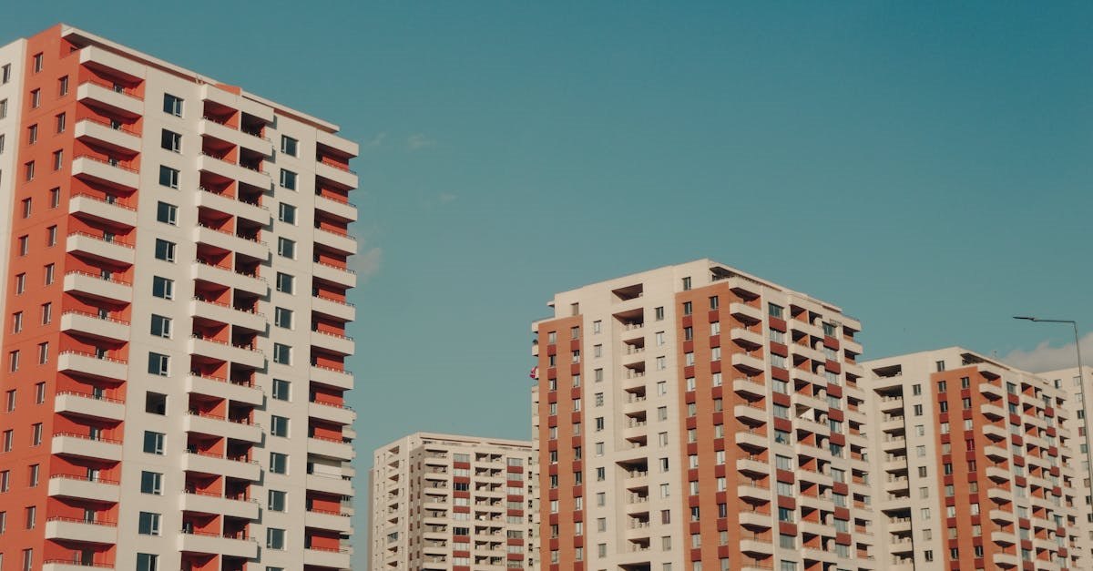 Фото: Pexels, @Esmihel Muhammed
