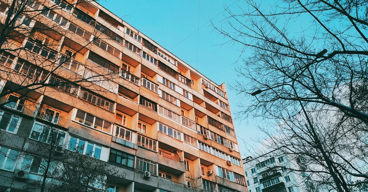 Фото: Pexels, @mxkrv