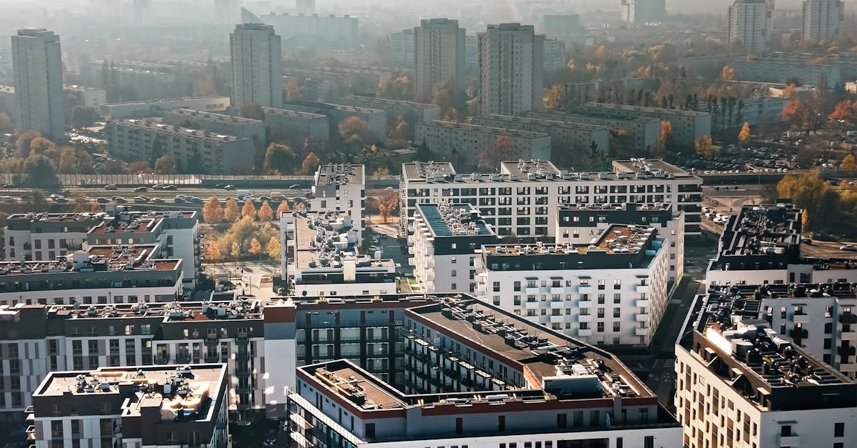 Фото: Pexels, @Jakub Zerdzicki