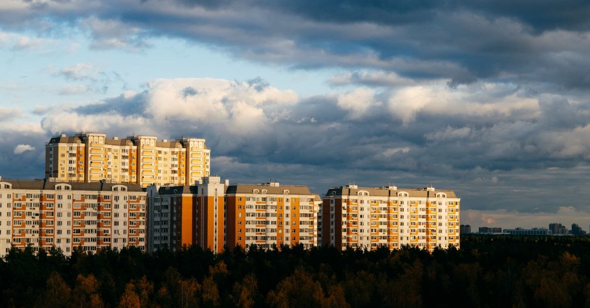 Фото: Pexels, @Amina B