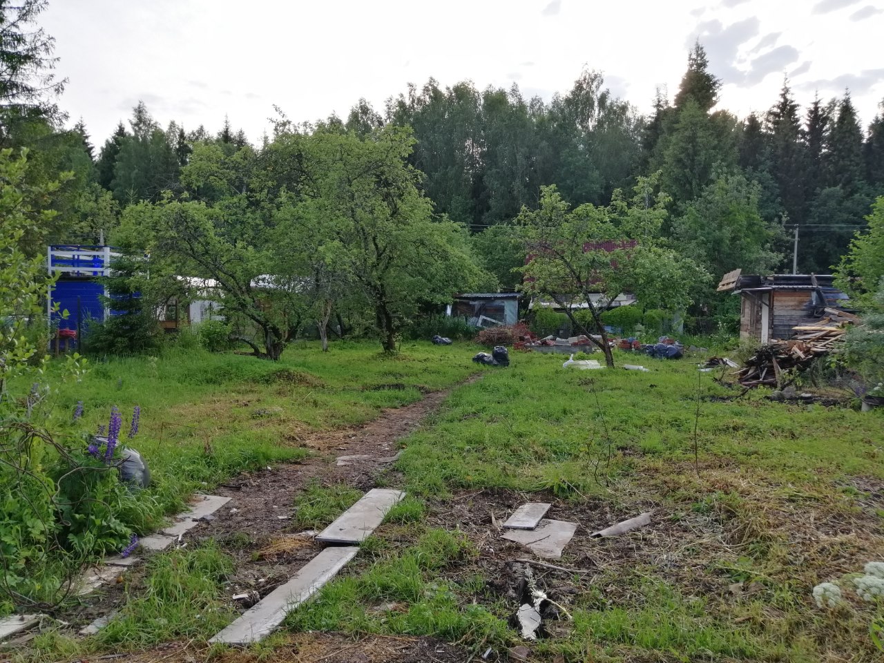 Даже при наличии собственника участок могут признать бесхозным. Фото: Мир Квартир