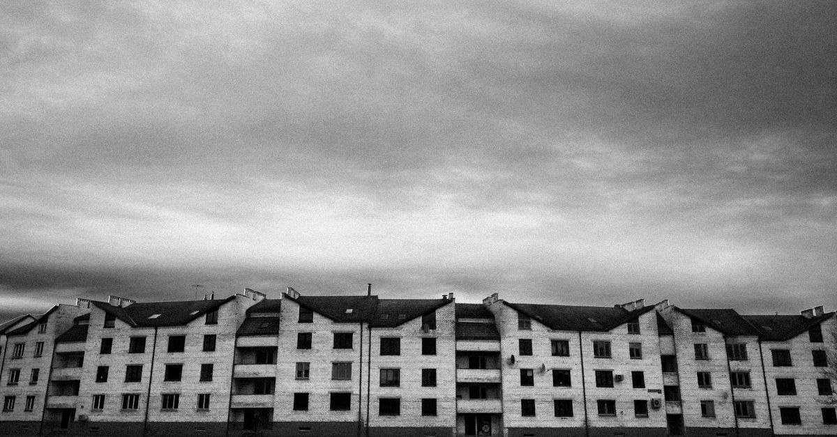 Фото: Pexels, @Wikii Heiwa