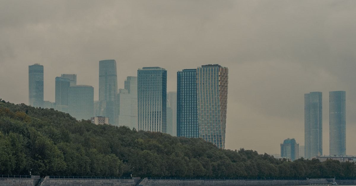 Фото: Pexels, @Юрий Жданов