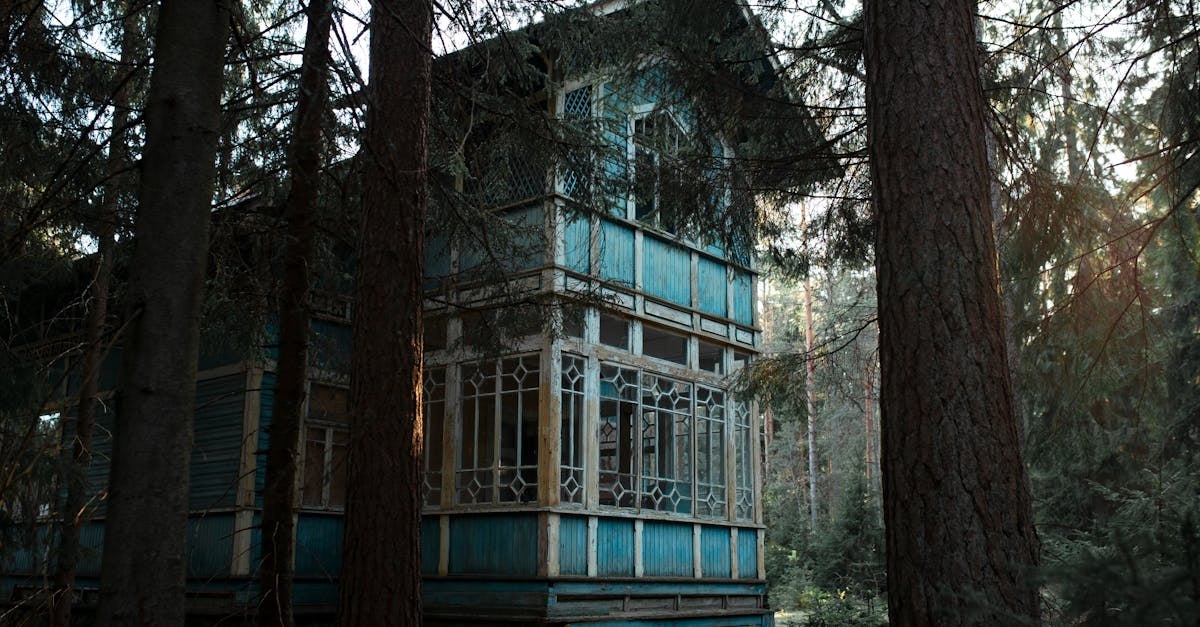 Фото: Pexels, @Непарадное в парадных Александр Стрелков