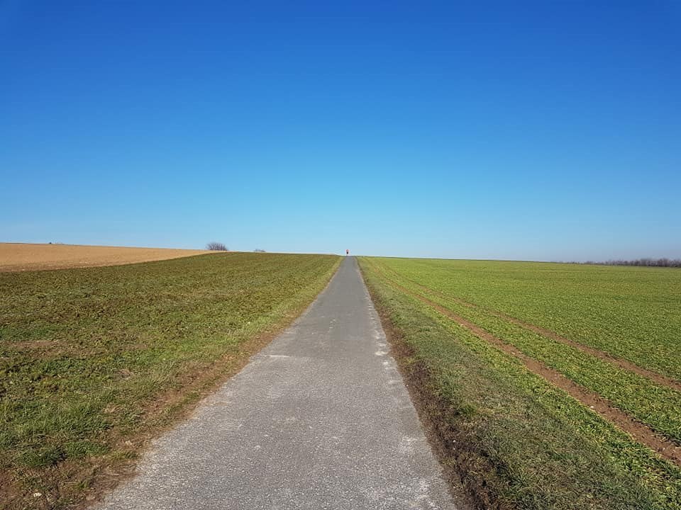 Сельхозземли можно перевести в другую категорию, но не всегда. Фото: Мир Квартир