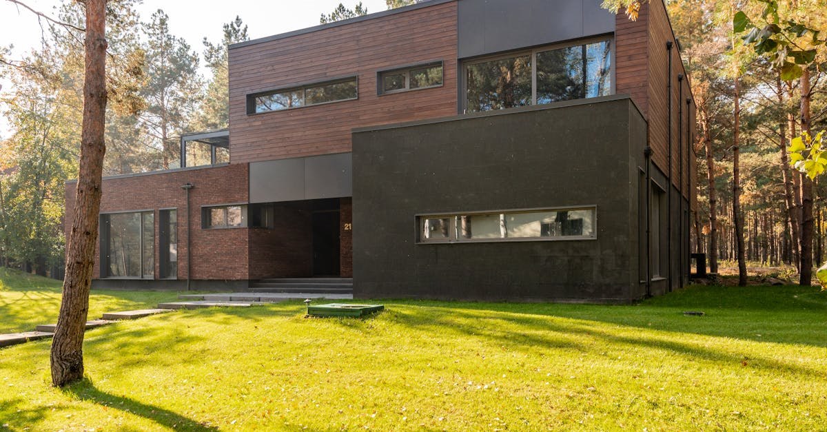 Фото: Pexels, @Max Vakhtbovych