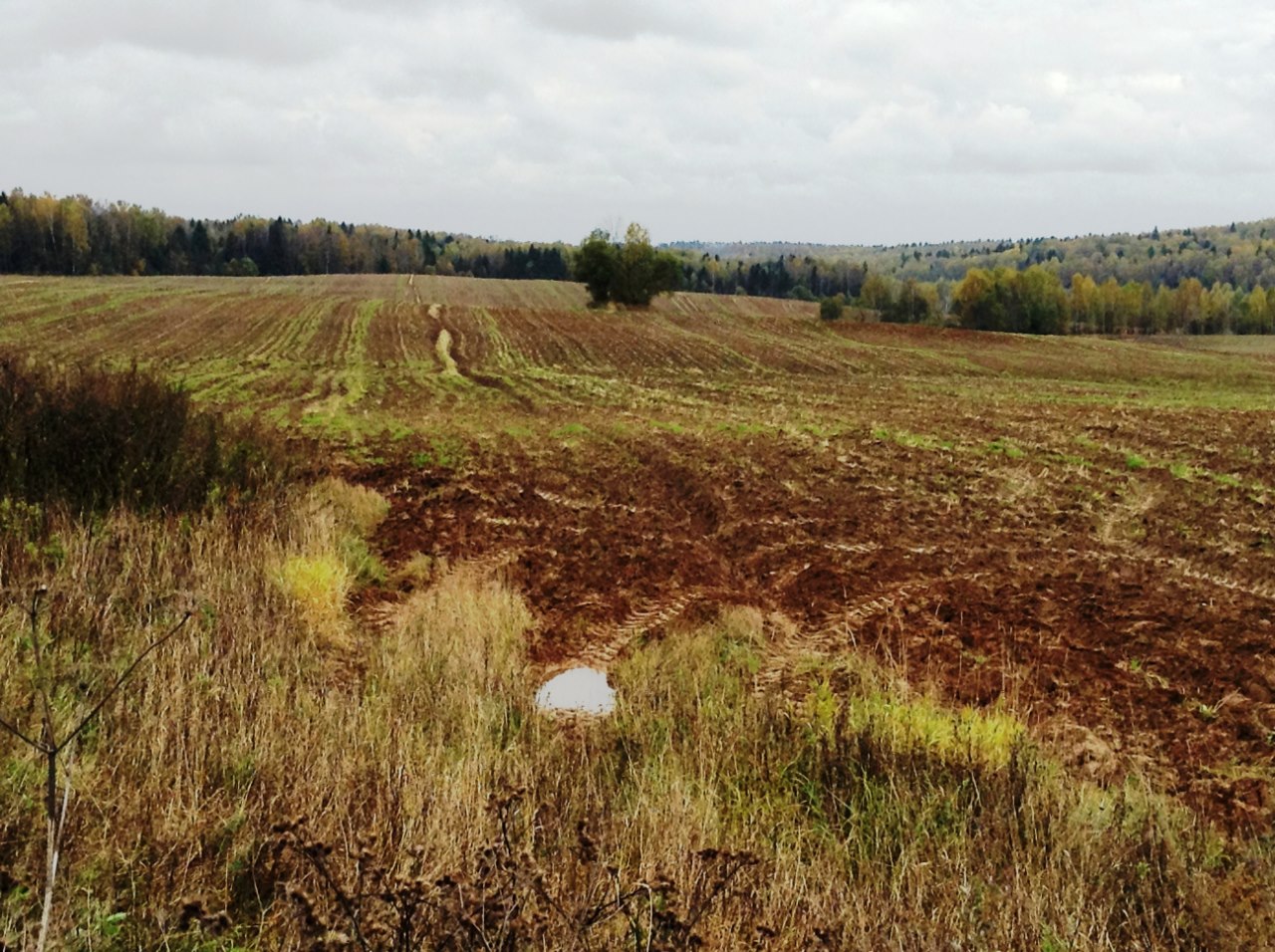 Без согласия собственника земли изменить ее категорию нельзя. Фото: Мир Квартир