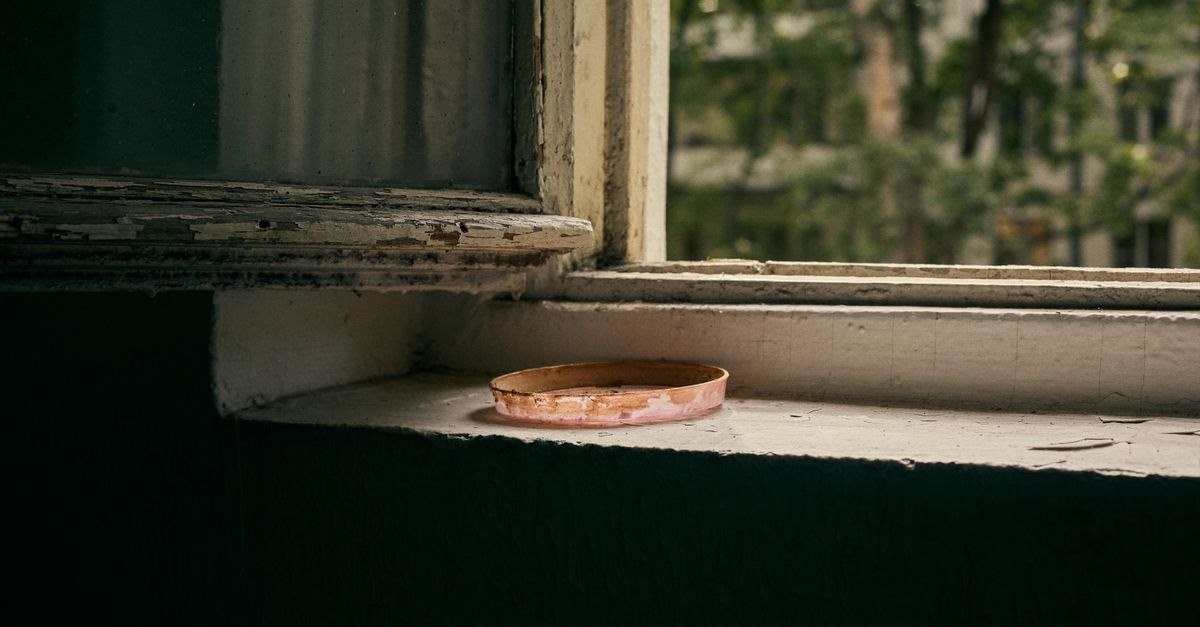 Фото: Pexels, @Ivan Baton
