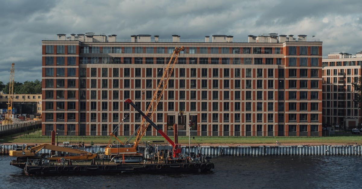 Фото: Pexels, @Roman Ska