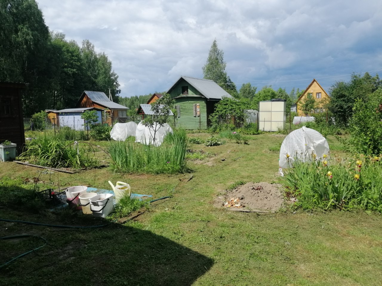 Чтобы участок не признали бесхозным, ухаживайте за ним. Фото: Мир Квартир