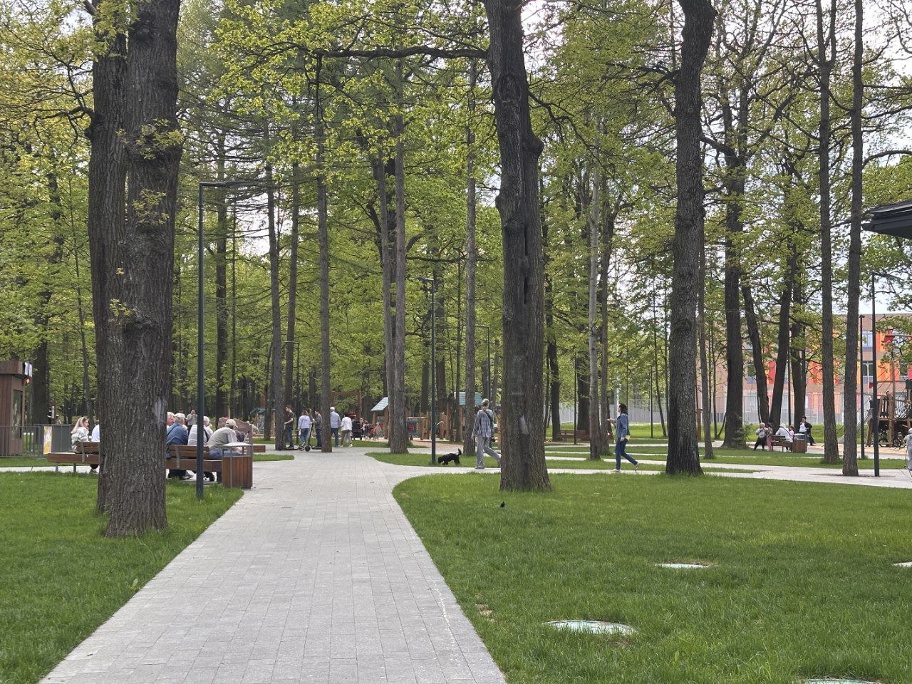 В городском парке. Фото: Ника Чайкина для Мира Квартир