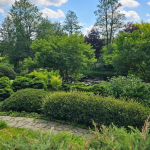 Ландшафтный дизайн участка: как создать и реализовать проект и при этом избежать ошибок?