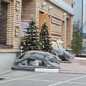 «Лариса, у нас отмена!» Как развивается скандал с квартирой Долиной