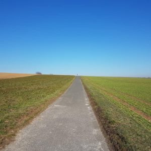 Перевод сельхозземли в другую категорию: нюансы и особенности процедуры