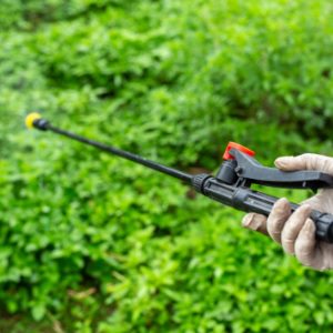 Как защитить участок от клещей: особенности обработки и выбора средств