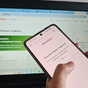 Не хочешь – заставим. Государство готовит цифровую платформу по аренде квартир, чтобы вывести арендодателей из тени