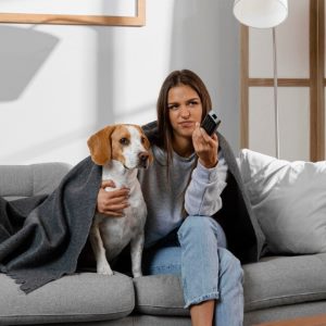 Аренда квартиры с питомцем: как убедить владельца сдать жилье арендатору с домашним животным, и что учесть при составлении договора? 