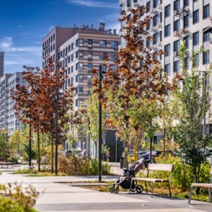 Новый стандарт жизни: как московское благоустройство меняет рынок новостроек