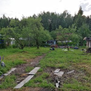 Кто и на каких основаниях может признать участок бесхозным