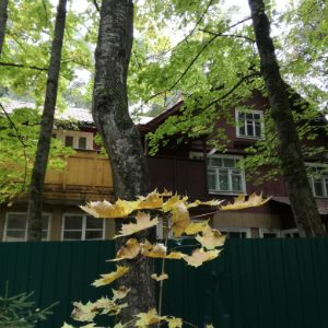 В каком доме на участке можно прописаться и как поступить, если регистрация невозможна