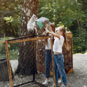 Вывоз мусора в СНТ: правила, тарифы и нюансы для дачников